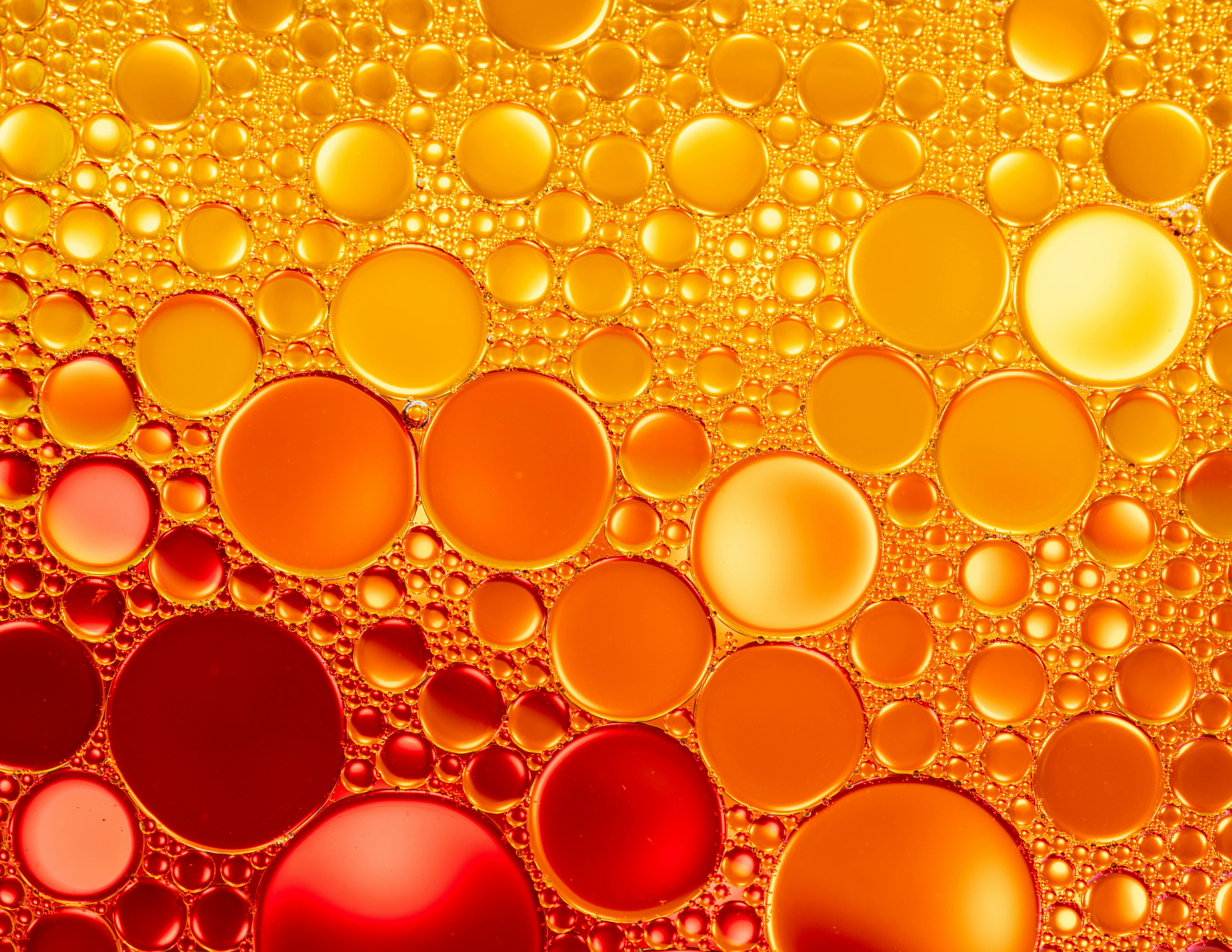 Liquid‑Ready Forms