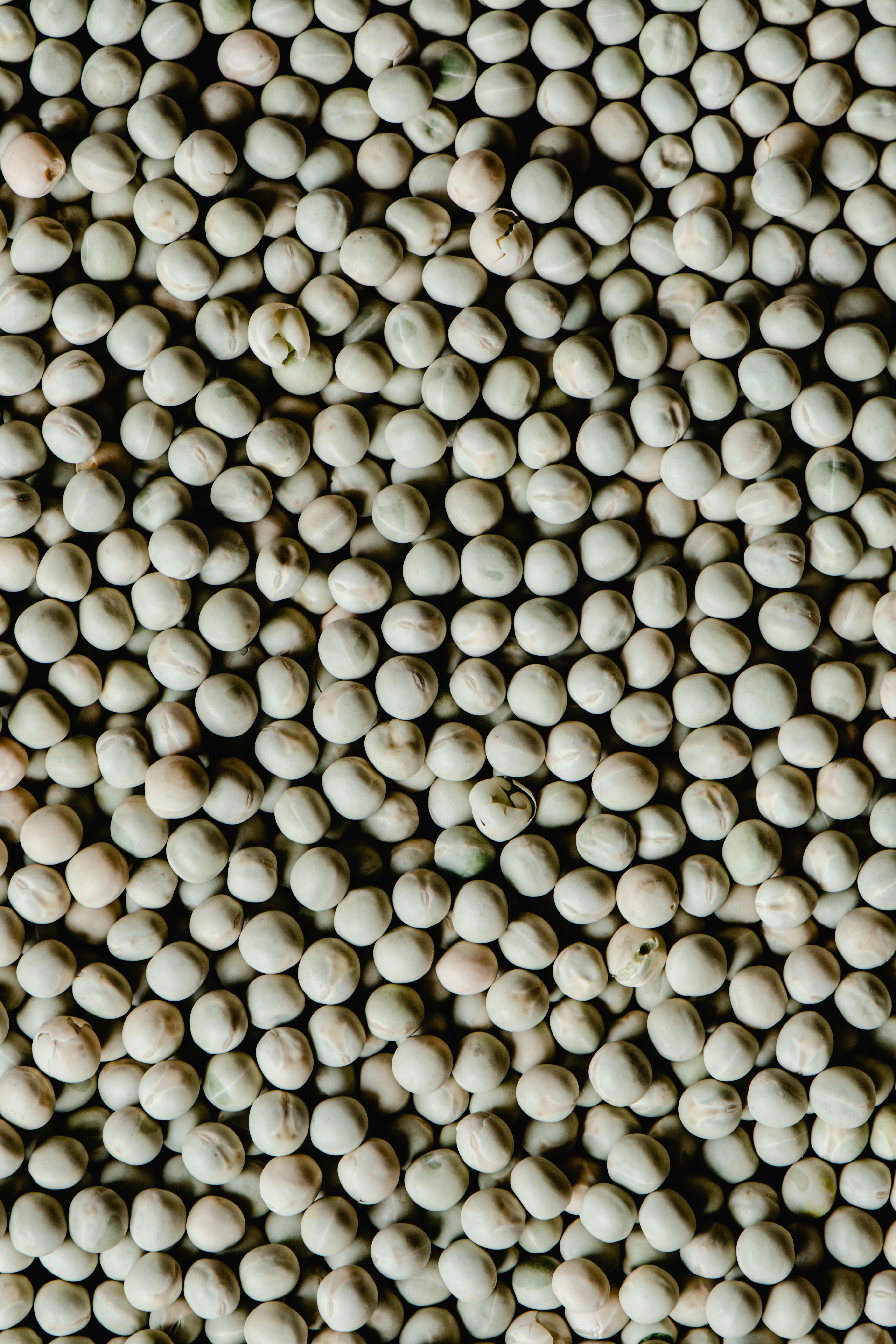 Plant proteins