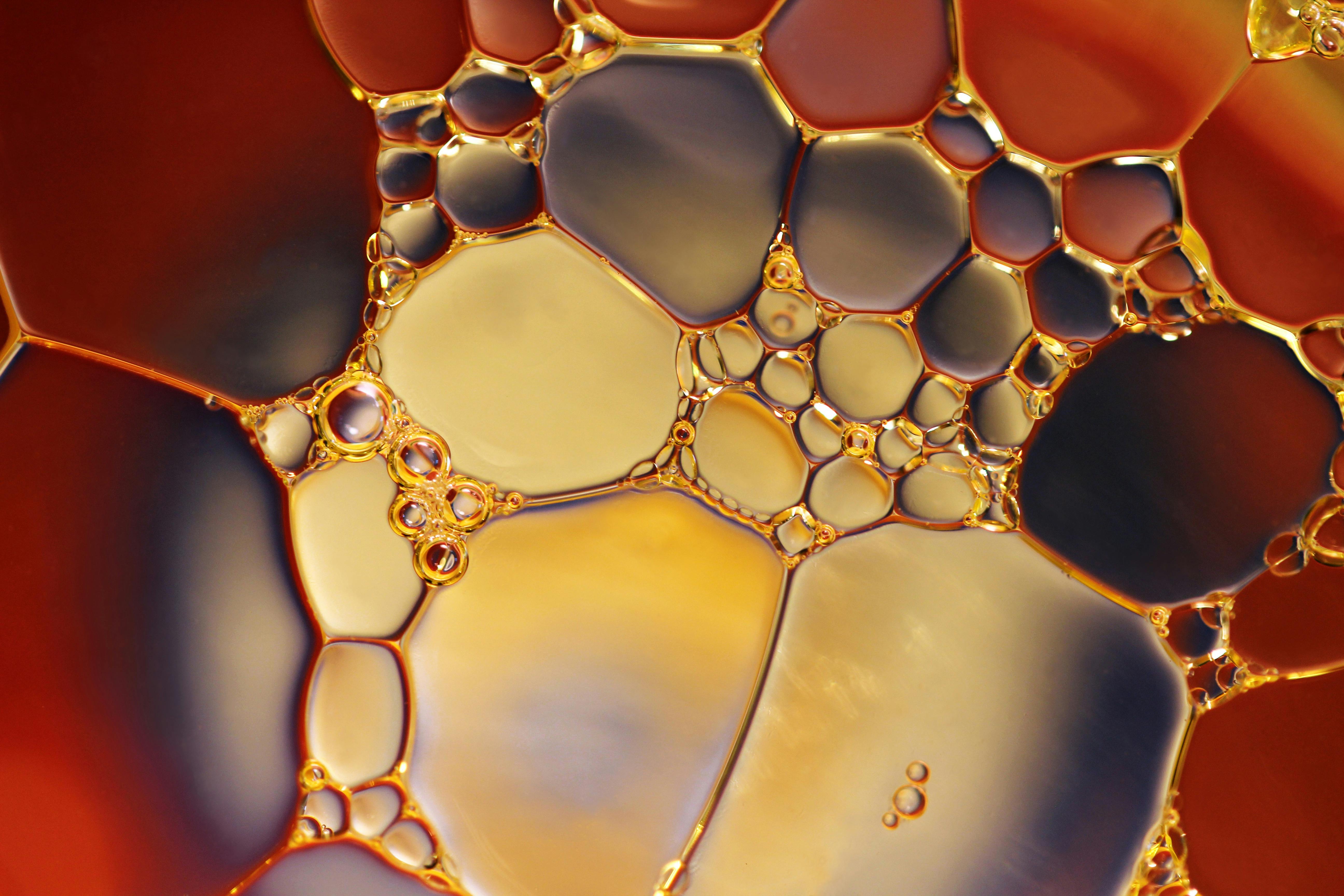 Plant‑Based Nutritional Oils